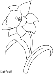 Daffodil Coloring Pages Best Coloring Pages For Kids Spring Coloring Pages Flower Coloring Pages Printable Flower Coloring Pages