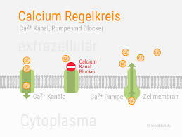 Warum Sind Calcium Tabletten Keine Gute Idee Foodfibel