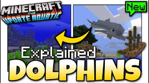 What Do Dolphins Eat In Minecraft? ( & How To Feed Them)
