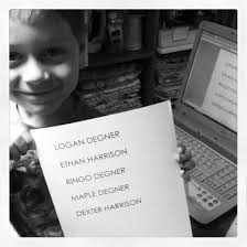 THE WOODLAND STUDIO: 2012