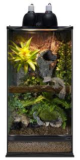 Zoo Med Skyscraper Terrarium Designed For A Leaf Tailed Gecko Diy This Terrarium With Hydroballs Forest Gecko Terrarium Gecko Vivarium Crested Gecko Habitat