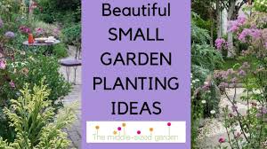 Small Garden Planting Ideas Plants For Narrow Or Small Gardens Youtube