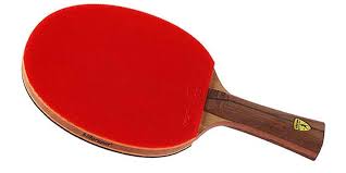 If you have the best tennis rackets you will get some extra benefit at tennis. The 10 Best Ping Pong Paddles In 2021 Pingpongruler
