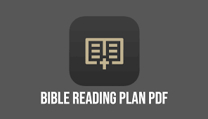 The videos and the scripture plan is super helpful for building up my understanding of god's word. i'm a new believer i just accessed your app read scripture. A Year Of Biblical Literacy