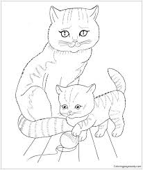 We are the best team! Cat Mother And Kitten Coloring Pages Cat Coloring Pages Coloring Pages For Kids And Adults