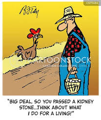 90 x 9,5 x 90 cm. Kidney Stone Humor Images Kidneys Cartoons And Comics Funny Pictures From Cartoonstock