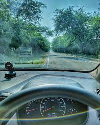 Every Road Is A Story Motorvehicle Speedometer Vehicle Road Roadtrip Driving Car Tree Every Road Is A Story Motorvehicle Spee Road Road Trip Story