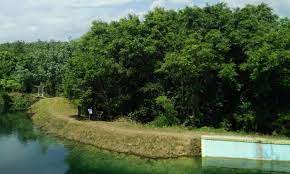 Sungai bemban, batang asai, kabupaten sarolangun, jambi. Taman Wisata Ds Pulau Buayo Kabupaten Sarolangun Jambi Nusantaranews Sarolangun Mcc Arts