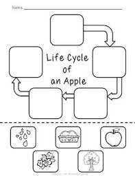 Colour in this card and give to someone special for their. Life Cycle Of An Apple Freebie By Wild About Teaching Tpt