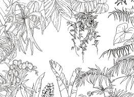 Papier Peint Original Decoration Murale En Edition Limitee Ohmywall Papier Peint Jungle Tropical Noir Et Blanc Panora Jungle Drawing Jungle Mural Mural Art