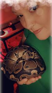 This is my spotted python Archie he's only 5 months old and one of the  gentlest creatures I've ever come across. I would recommend this species to  any young person as a