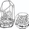 Download and print these parts of a plant coloring pages for free. 1