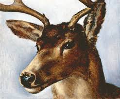 Bildergebnis für Robert Devriendt