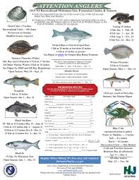 2019 Nj Saltwater Fishing Regulations Nj Saltwater