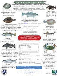 nj saltwater fisherman your 1 source for fishing in nj