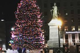 Kayla adelman, group sales & patron services manager phone: Lights And Eggnog At The Portland Christmas Tree Lighting Friday