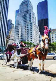 Hotel Hudson New York Central Park New York City Ny Booking Com Horse Carriage Rides New York City Hudson New York