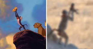 Baboon Seen Lifting Its Baby Up Lion King Style Current adjustments of shakespeare's plays are extraordinarily normal, and, for reasons. baboon seen lifting its baby up lion