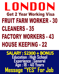 Worldjobsvacant Com Is An Online Jobs Board Here You Can Find Work Opportunities In Worldwide By Searching Through Thousands Job Information Job Internet Jobs