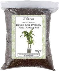Check spelling or type a new query. How To Repot A Fiddle Leaf Fig Planter Size Soil Drainage Fertilizing Greenhouse Studio