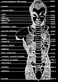 frequencies corresponding to the human body