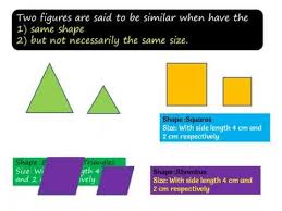 Sp 10 unsolved sp 10 solved. Ncert Solutions For Class 10th Maths Chapter 6 Triangles Exercise 6 1 Question 1 Lesson Plan Spiral