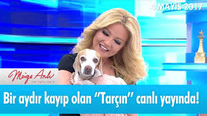 Bir Aydir Kayip Olan Tarcin Canli Yayinda Muge Anli Ile Tatli Sert 4 Mayis 2017 Atv Youtube