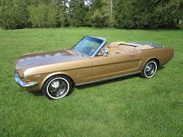 Image result for Prairie Bronze 1964 Mustang