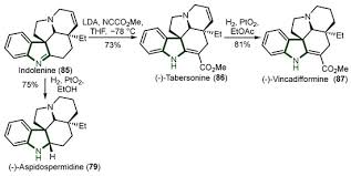 Image result for Schizozygia coffaeoides