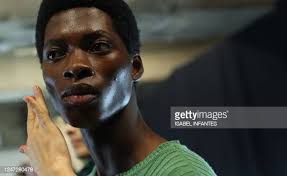 86 Robyn Lynch Fashion Designer Stock Photos, High-Res Pictures, and Images 