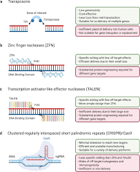 Maybe you would like to learn more about one of these? Delivery Technologies For T Cell Gene Editing Applications In Cancer Immunotherapy Ebiomedicine