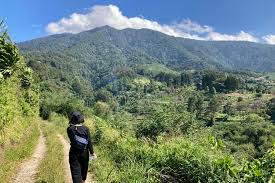 Jun 29, 2021 · woodland. Https Travel Kompas Com Read 2021 07 04 073500927 Cek Itinerary Liburan Seru Sehari Di Purwakarta Https Asset Kompas Com Crops G3erecievegbrpzaztp6rltlw W 0x0 800x533 750x500 Data Photo 2017 11 19 1719362967 Jpg Pemandangan