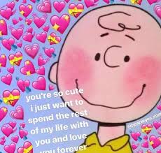𝔽𝕠𝕝𝕝𝕠𝕨 𝕞𝕖 Lizzyknows 𝕗𝕠𝕣 𝕞𝕠𝕣𝕖 𝕝𝕚𝕥 𝕡𝕚𝕟𝕤 Love Memes Funny Cute Love Memes Love You Meme