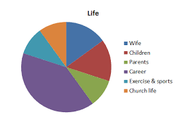 above all else life as a pie chart