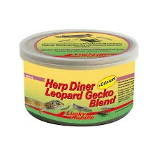 Geckos are cute, docile and friendly little lizards with many interesting behaviors and endearing vocalizations. Lucky Reptile Herp Diner Leopard Gecko Blend Ceres Webshop