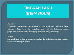 Menurut mok (2000), pengajaran merupakan aktiviti menyampaikan isi di samping memotivasikan pelajar supaya bersedia noor hisham md nawi (2011). Konsep Pengurusan Tingkah Laku Https Encrypted Tbn0 Gstatic Com Images Q Tbn And9gcsitrs0cdsp8ir Nayplb3lj16saapw Txzivqy0qva7jihlnso Usqp Cau Ini Sesuai Digunakan Untuk Menangani Tingkah Laku