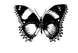 Jay Macpherson 1931-2012