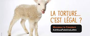 Epingle Sur Protection Animale