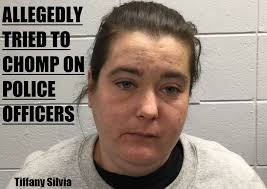 COPS: Combative female grabbed one officer, then attempted to bite…