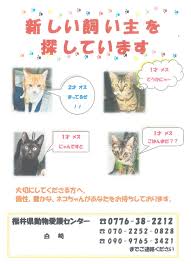 どうぶつセレモニーおおぞら