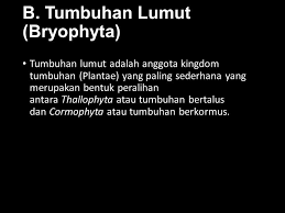 Tumbuhan higrofit adalah salah satu tumbuhan dalam kategori adaptasi morfologi pada tumbuhan, yang berarti mereka dapat menyesuaikan bentuk tubuh serta struktur tubuh mereka dengan lingkungannya. Tugas Biologi Bab Vii Tumbuhan Disusun Oleh Kelompok 5 Dinda Feiya Syabani Sua Redita Nurma Yunita Nawang Maruf Iswana Dewi Mia Safitri Dara Sinta Ppt Download