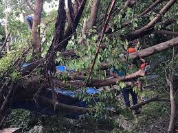 Batangas Placed Under State Of Calamity After Typhoon Quinta Philstar Com