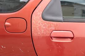 Car painting near me cheap. How To Restore Faded Car Paint Get Your Car Looking Its Best Again