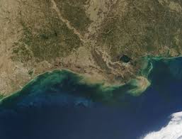 The gulf of mexico (spanish: Why This Year S Dead Zone In Gulf Of Mexico Is Bigger Than Ever