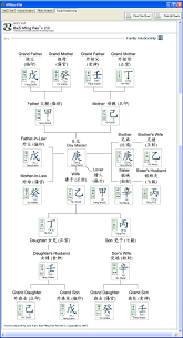 Bazi Ming Pan Professional Edition V2 0 Web Based 1