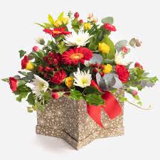 Check spelling or type a new query. Christmas Flowers Same Day Delivery Via Local Florists