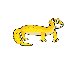 You can use a stick to gently guide a gecko in the direction you want it to go. I Decided To Take A Crack At Drawing A Leopard Gecko I Call It Gek He Can T Do Much But He S A Happy Boi Leopardgeckos