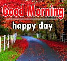 Nature Good Morning Images Free Good Morning Images Good Morning Images Morning Images