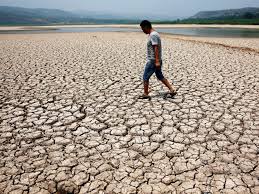 Climate Change Could Cause An Extra 500 000 Deaths In 2050 Effects Of Global Warming Global Warming Extreme Weather
