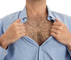 Today many man simply want less body hair and make up a large portion of the permanent hair removal industry. Male Body Hair Removal